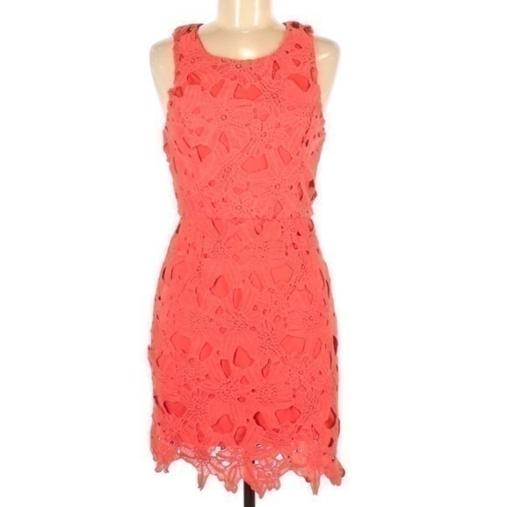 Astr Embroidered Orange Lace Dress